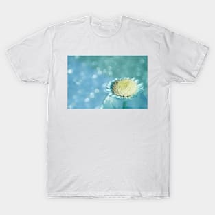 white flower with blue background T-Shirt